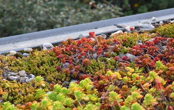 the cost of Healey Cote green roof installation