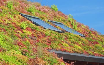 Healey Cote living roof systems