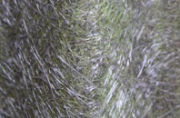 Healey Cote fibreglass roof work