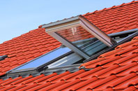 Healey Cote roof window
