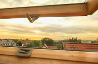 rated Healey Cote roof window companies